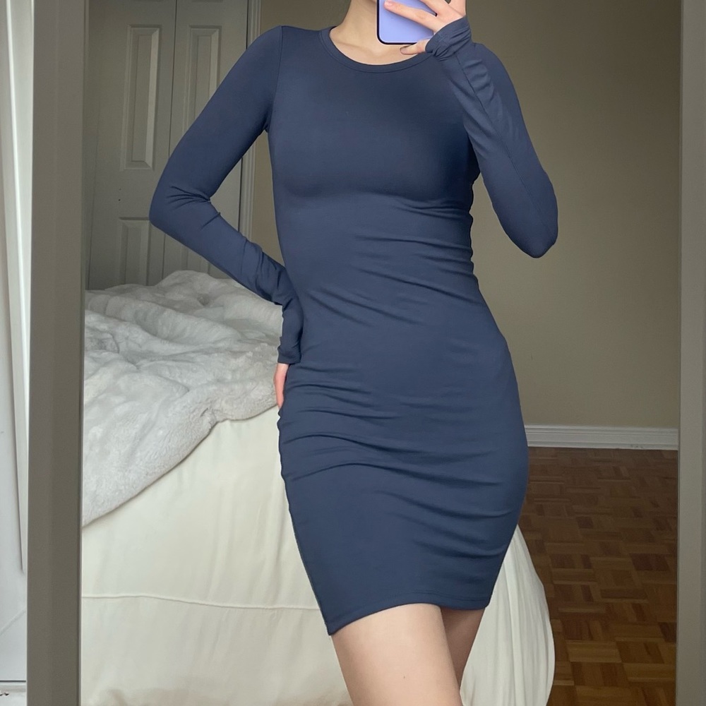 Aritzia Bodycon Dress